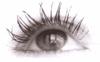 Oeil Oeil