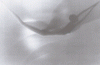 Revue Hypnose & Therapies Breves Hors Série 6 Revue Hypnose & Therapies Breves Hors Série 6